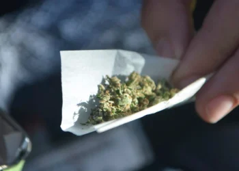 STF mantém decisão sobre porte de maconha para uso pessoal