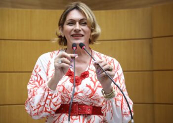Linda Brasil faz críticas à falta de apresentação de dados e planejamento para os próximos dois anos do Governo