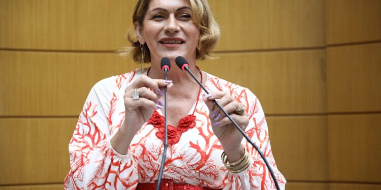 Linda Brasil faz críticas à falta de apresentação de dados e planejamento para os próximos dois anos do Governo