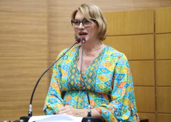 Linda Brasil pede mais condições de trabalho no Hospital Fernando Franco