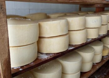 Laticínio que processa leite da irrigação pública recebe registro estadual no último dia de Sealba Show