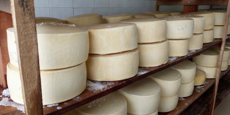 Laticínio que processa leite da irrigação pública recebe registro estadual no último dia de Sealba Show