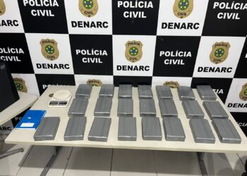 Denarc apreende mais de 20 kg de cocaína em Amparo do São Francisco