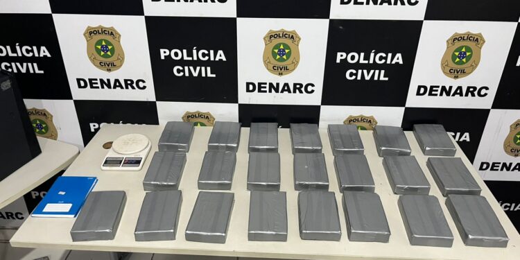Denarc apreende mais de 20 kg de cocaína em Amparo do São Francisco