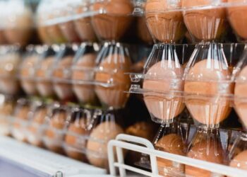 Disparada no preço do ovo preocupa supermercados