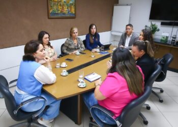 Prefeitura de Aracaju realiza reunião para discutir ações em prol de animais abandonados