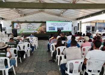 Sealba Show 2025: primeiro dia supera expectativa de público e projeta recorde de negócios