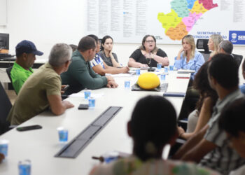 Secretaria da Educação reúne cooperativas da agricultura familiar para fortalecer parceria na alimentação escolar