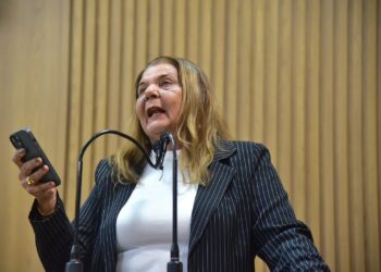 Vereadora Selma França homenageia Artesãos na Tribuna da Câmara de Aracaju