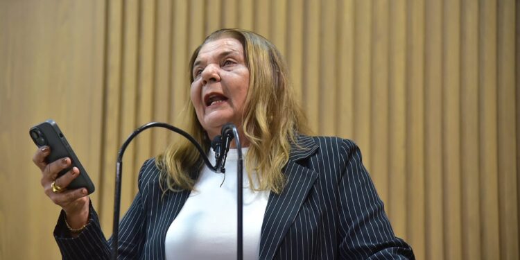 Vereadora Selma França homenageia Artesãos na Tribuna da Câmara de Aracaju