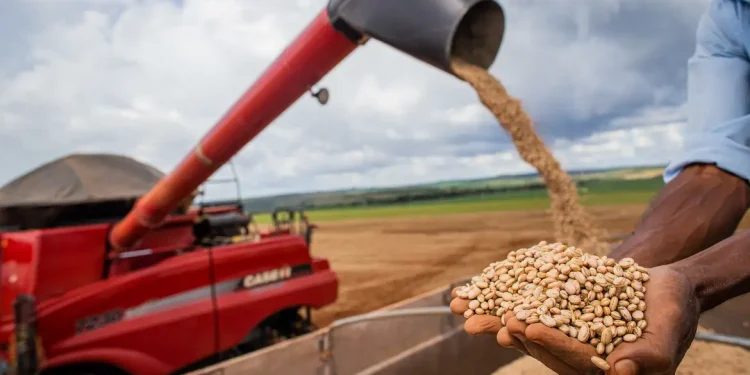 Conab estima safra de grãos acima de 328 milhões de toneladas