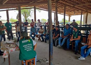 Produtores rurais de Itabi participam de Curso de Boas Práticas de Produção de Leite