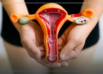MPF e Governo de Sergipe firmam acordo para aumento de cirurgias de endometriose profunda