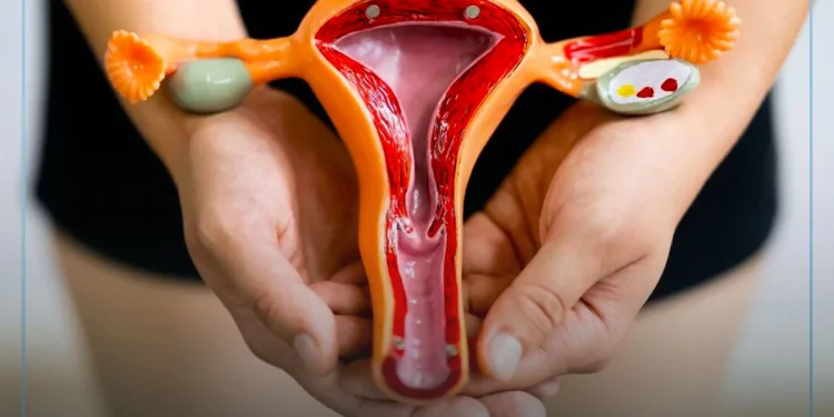 MPF e Governo de Sergipe firmam acordo para aumento de cirurgias de endometriose profunda