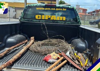 PM autua grupo por desmatamento em área de reserva legal no município da Barra dos Coqueiros