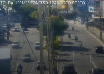 Polícia Civil detalha investigação sobre suposto caso de maus-tratos contra gato em Aracaju