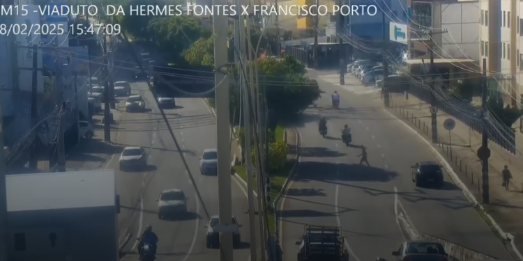 Polícia Civil detalha investigação sobre suposto caso de maus-tratos contra gato em Aracaju
