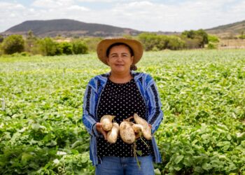 Evento do Sebrae promete fortalecer o protagonismo feminino no agronegócio