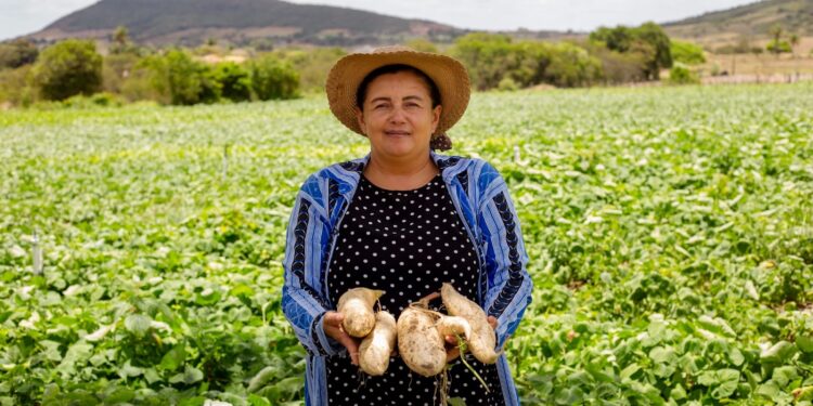 Evento do Sebrae promete fortalecer o protagonismo feminino no agronegócio