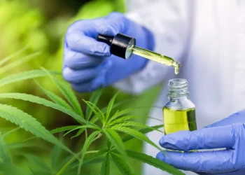 Anvisa propõe venda de Cannabis medicinal em farmácias de manipulação
