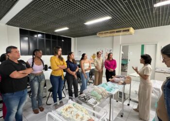 Saúde de Aracaju capacita profissionais para período de sazonalidade de doenças respiratórias
