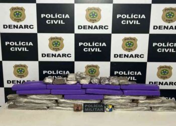 Polícia Militar prende suspeito e apreende 62 kg de maconha em Nossa Senhora do Socorro