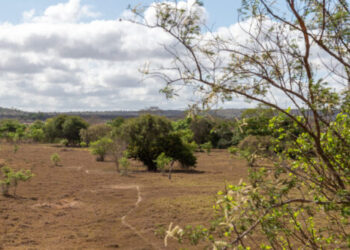 MIDR reconhece a situação de emergência no município de Poço Verde