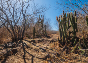 Sergipe segue registrando melhora na condição de seca