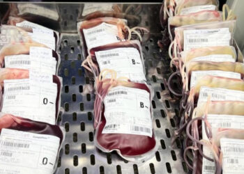 Hemose convoca doadores com fator Rh negativo para reforçar estoque de sangue