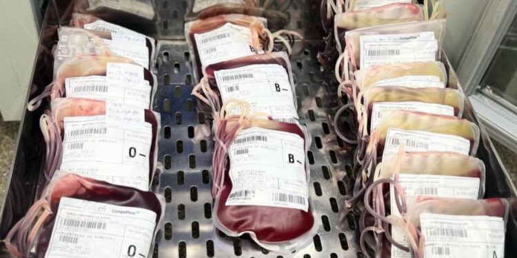 Hemose convoca doadores com fator Rh negativo para reforçar estoque de sangue