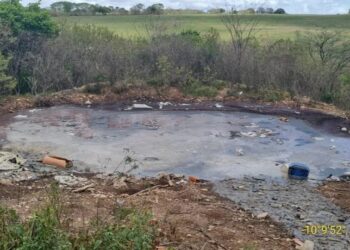 FPI/SE detecta irregularidades em queijarias na Bacia do São Francisco