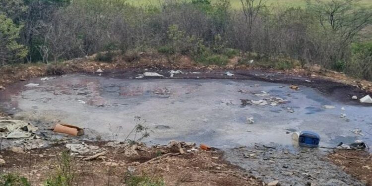 FPI/SE detecta irregularidades em queijarias na Bacia do São Francisco