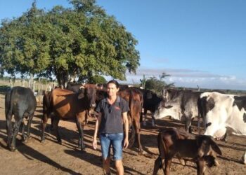 Produção de leite em Sergipe é a que mais cresce no Nordeste