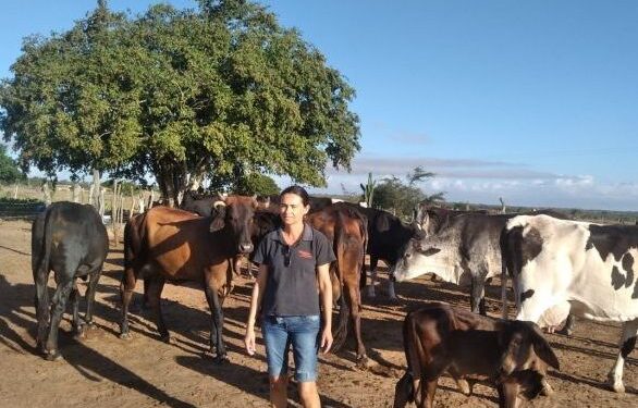 Produção de leite em Sergipe é a que mais cresce no Nordeste