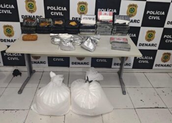 Polícia Civil apreende 84 kg de drogas após interceptar caminhão na BR-101