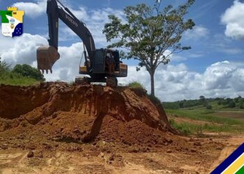Polícia Militar flagra crime ambiental durante fiscalização em Divina Pastora