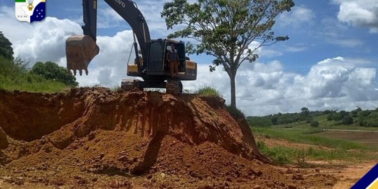 Polícia Militar flagra crime ambiental durante fiscalização em Divina Pastora