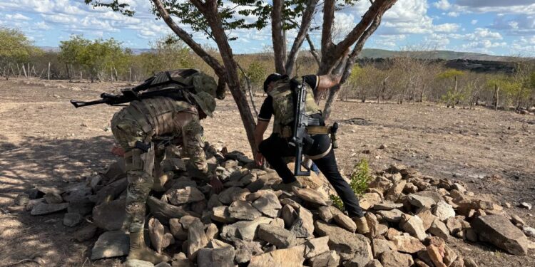 Ação conjunta localiza investigados por homicídio e apreende mais de 4kg de maconha em Porto da Folha