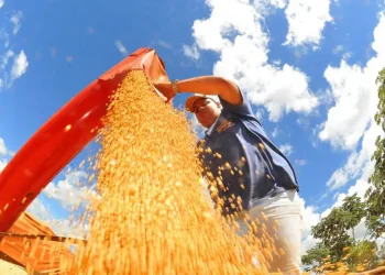 Crédito do BNDES para Plano Safra se aproxima de R$ 30 bilhões