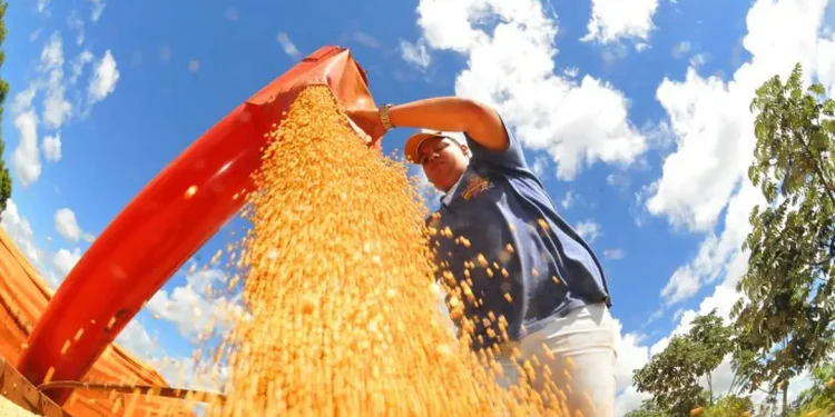 Crédito do BNDES para Plano Safra se aproxima de R$ 30 bilhões