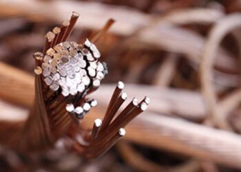 Homem é detido em flagrante por roubo de fiação na capital