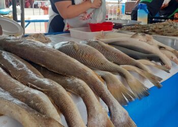 Saúde Aracaju: Vigilância Sanitária orienta população sobre cuidados com pescados na Semana Santa