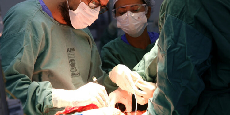 Doação de órgãos no Huse garante nova chance de vida para dois pacientes no Rio Grande do Sul