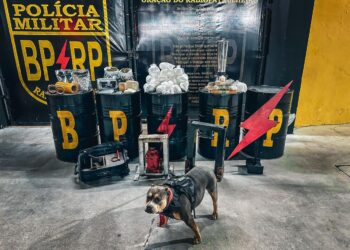 Polícia Militar apreende 27 kg de drogas no Bairro Santa Maria