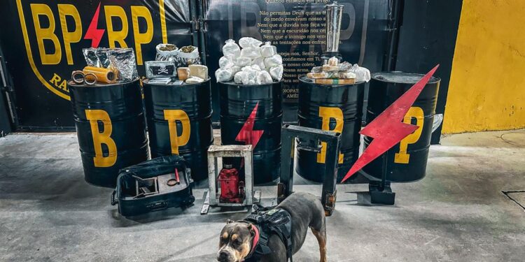 Polícia Militar apreende 27 kg de drogas no Bairro Santa Maria