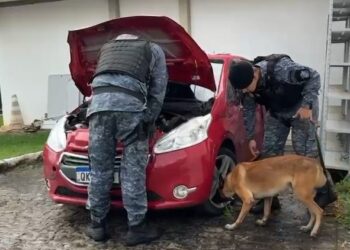 Após operação do Cope, Canil da PM encontra cocaína em motor do veículo