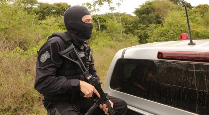 Polícia Civil frustra furto de trilhos de linha férrea na zona rural de Pedrinhas