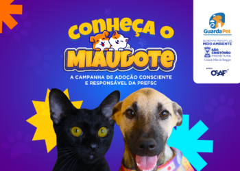 Miaudote: campanha da Prefeitura de São Cristóvão incentiva adoção responsável de cães e gatos