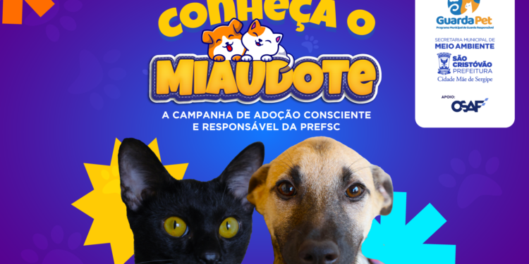 Miaudote: campanha da Prefeitura de São Cristóvão incentiva adoção responsável de cães e gatos