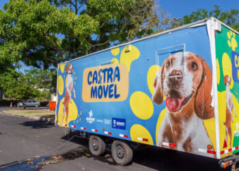 Secretaria de Estado da Saúde desenvolve ações voltadas à assistência e saúde preventiva dos animais